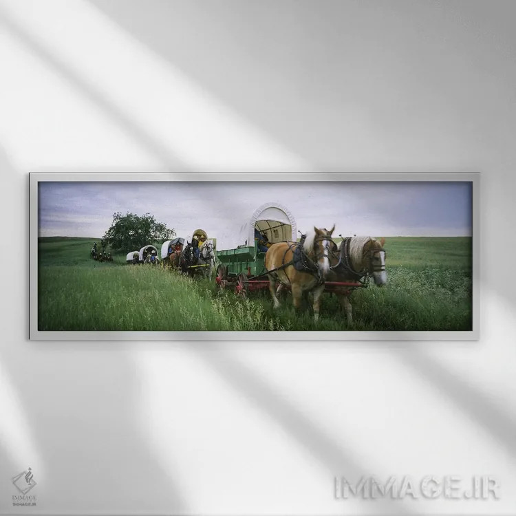 تابلو دکوراتیو Covered wagons in a field, North Dakota, USA,بازسازی تا… اثر پانورامیک ایمجز - نمای قابدار سفید