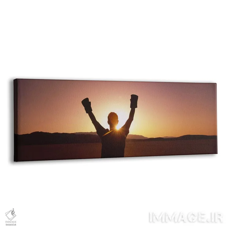 تابلو دکوراتیو Black Rock Desert, Nevada, USA,سیلوئت شخصی با دستکش بوک… اثر پانورامیک ایمجز - نمای پرسپکتیو محصول
