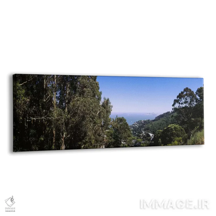 تابلو دکوراتیو Sausalito, San Francisco Bay, Marin County, California… اثر پانورامیک ایمجز - نمای پرسپکتیو محصول