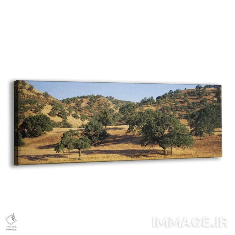 تابلو دکوراتیو Stanislaus County, California, USA,چشم انداز تپه ای، شه… اثر پانورامیک ایمجز - نمای پرسپکتیو محصول