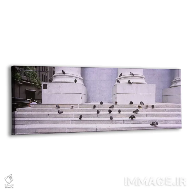 تابلو دکوراتیو San Francisco, California, USA,دسته ای از کبوترها روی پ… اثر پانورامیک ایمجز - نمای پرسپکتیو محصول