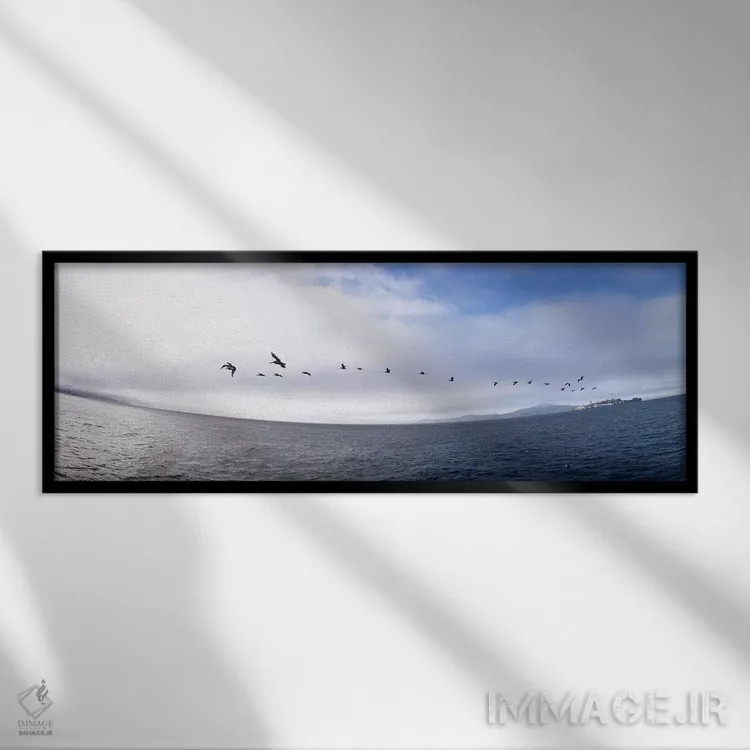 تابلو دکوراتیو Alcatraz, San Francisco, California, USA,پلیکان ها در ح… اثر پانورامیک ایمجز - نمای قابدار مشکی