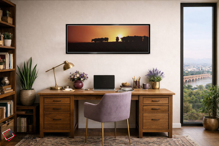 تابلو دکوراتیو Point Reyes National Seashore, California, USA,سایه گاو… اثر پانورامیک ایمجز - D2B