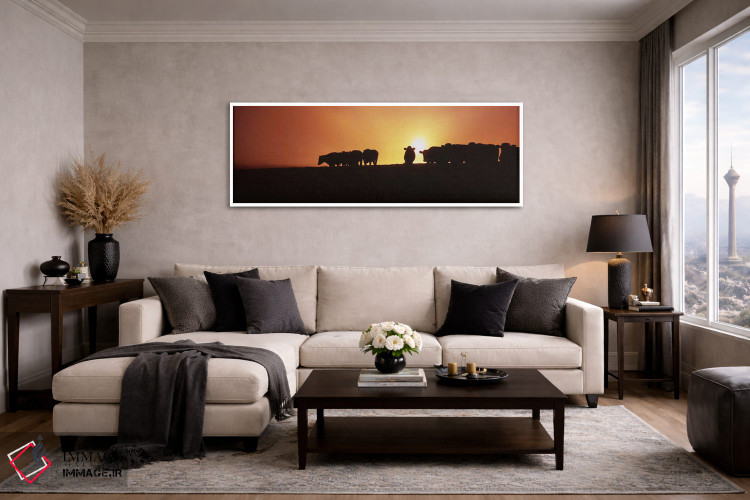 تابلو دکوراتیو Point Reyes National Seashore, California, USA,سایه گاو… اثر پانورامیک ایمجز - D4W
