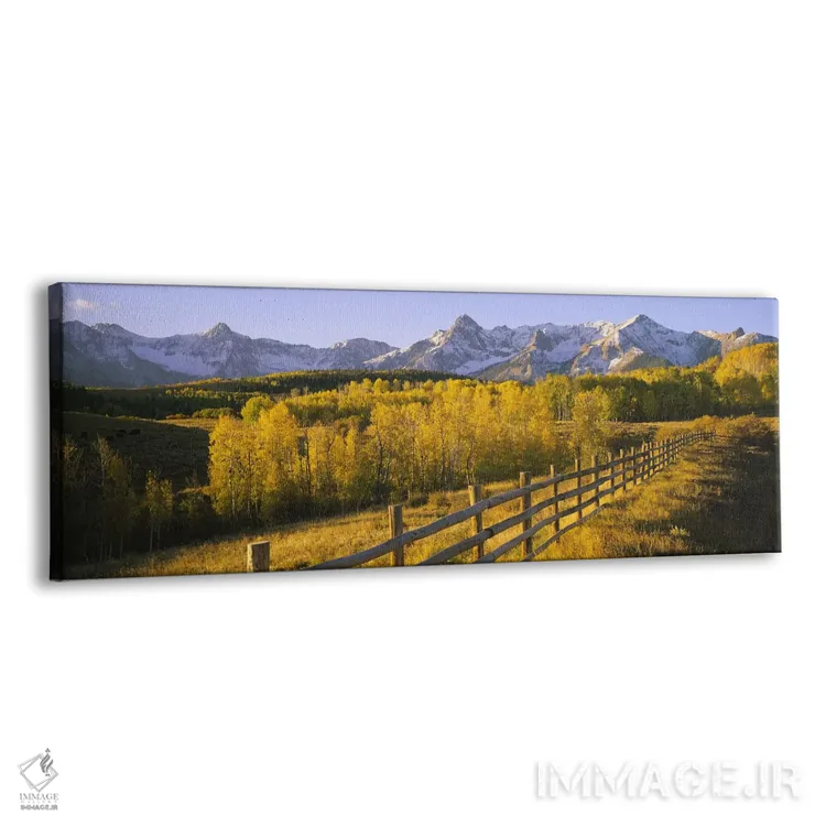 تابلو دکوراتیو San Juan Mountains, Colorado, USA,درختان در دشتی نزدیک… اثر پانورامیک ایمجز - نمای پرسپکتیو محصول