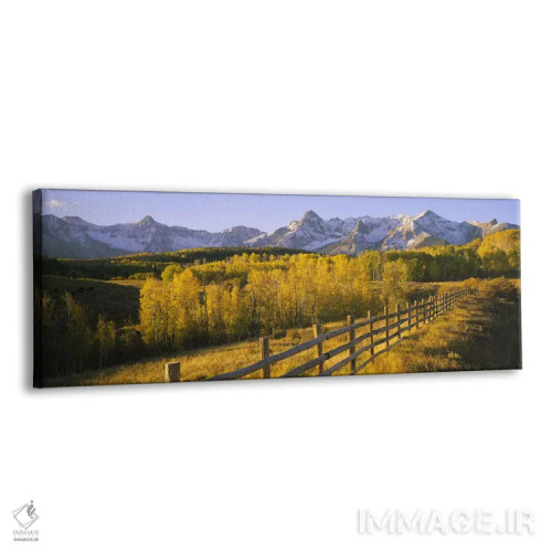 تابلو دکوراتیو San Juan Mountains, Colorado, USA,درختان در دشتی نزدیک… اثر پانورامیک ایمجز - نمای پرسپکتیو محصول