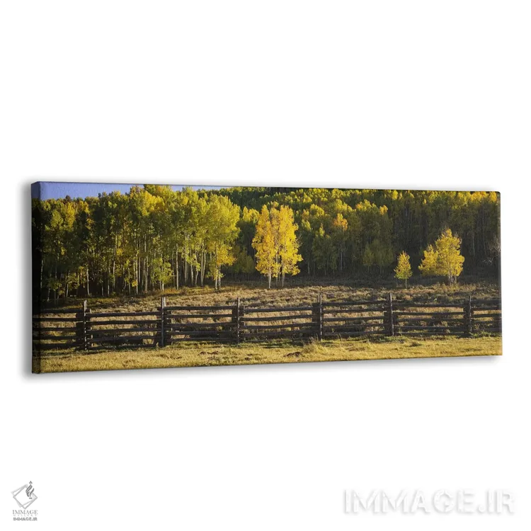 تابلو دکوراتیو San Miguel County, Colorado, USA,حصار چوبی در چشم انداز… اثر پانورامیک ایمجز - نمای پرسپکتیو محصول