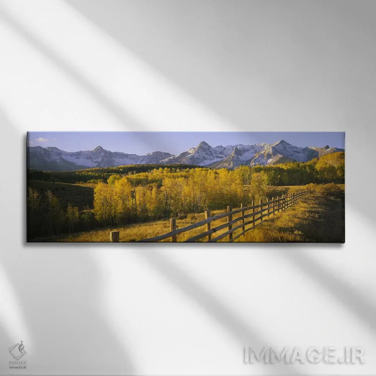 تابلو دکوراتیو San Juan Mountains, Colorado, USA,درختان در دشتی نزدیک… اثر پانورامیک ایمجز - نمای روبهرو روی دیوار