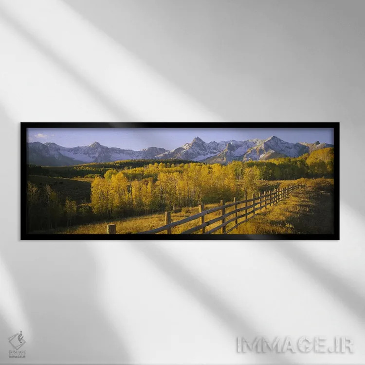 تابلو دکوراتیو San Juan Mountains, Colorado, USA,درختان در دشتی نزدیک… اثر پانورامیک ایمجز - نمای قابدار مشکی