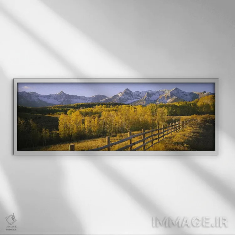 تابلو دکوراتیو San Juan Mountains, Colorado, USA,درختان در دشتی نزدیک… اثر پانورامیک ایمجز - نمای قابدار سفید