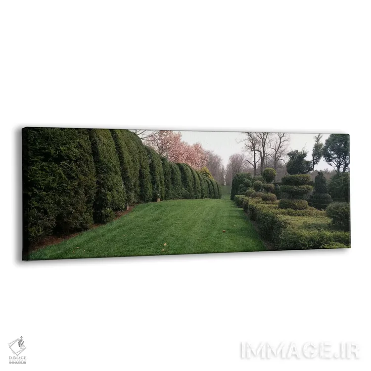 تابلو دکوراتیو Monkton, Baltimore County, Maryland, USA,پرچین در باغ ر… اثر پانورامیک ایمجز - نمای پرسپکتیو محصول