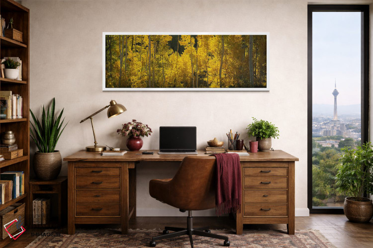 تابلو دکوراتیو San Miguel County, Colorado, USA,درختان صنوبر در جنگل… اثر پانورامیک ایمجز - D1W