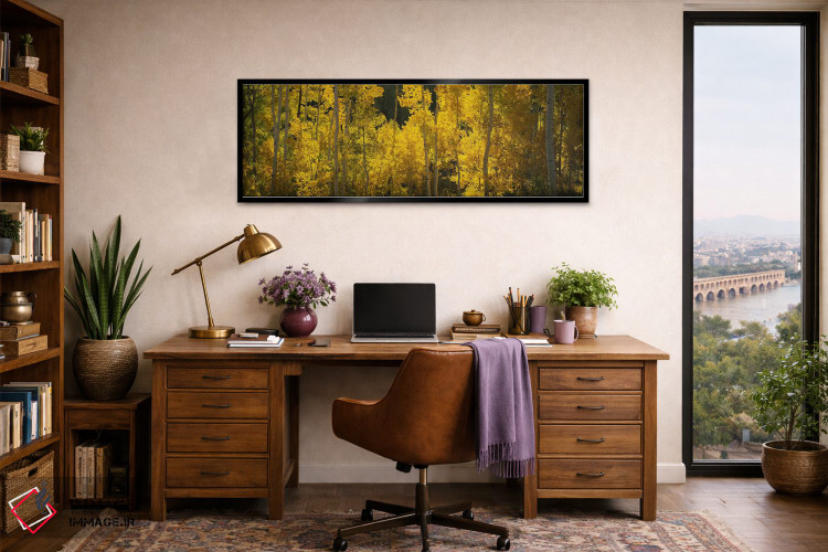 تابلو دکوراتیو San Miguel County, Colorado, USA,درختان صنوبر در جنگل… اثر پانورامیک ایمجز - D2B