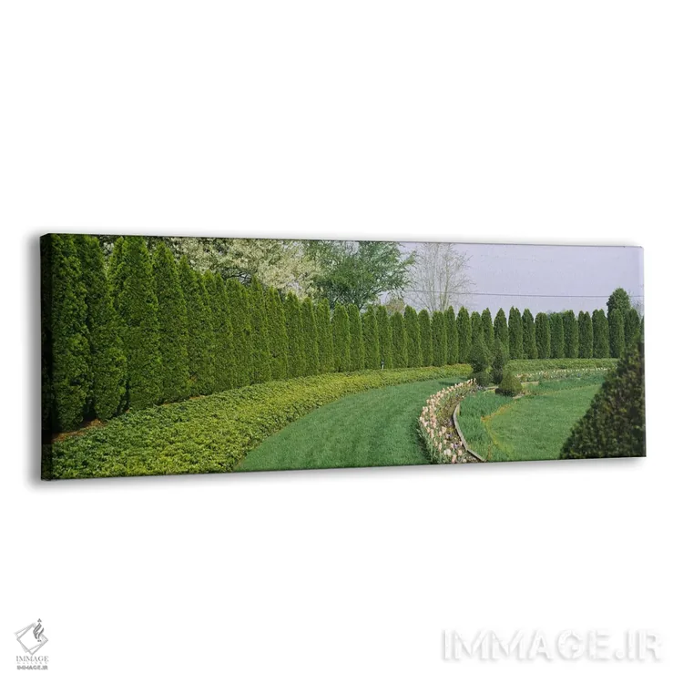 تابلو دکوراتیو Monkton, Baltimore County, Maryland, USA,ردیفی از درختا… اثر پانورامیک ایمجز - نمای پرسپکتیو محصول