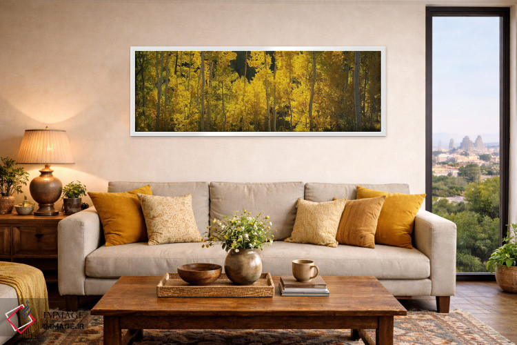 تابلو دکوراتیو San Miguel County, Colorado, USA,درختان صنوبر در جنگل… اثر پانورامیک ایمجز - D5W