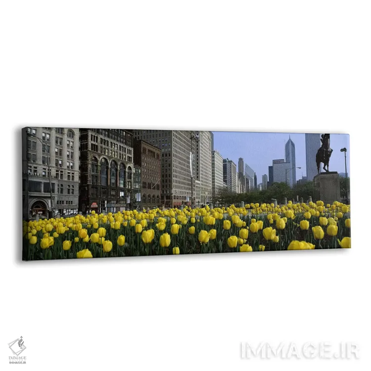 تابلو دکوراتیو Grant Park, South Michigan Avenue, Chicago, Cook County… اثر پانورامیک ایمجز - نمای پرسپکتیو محصول