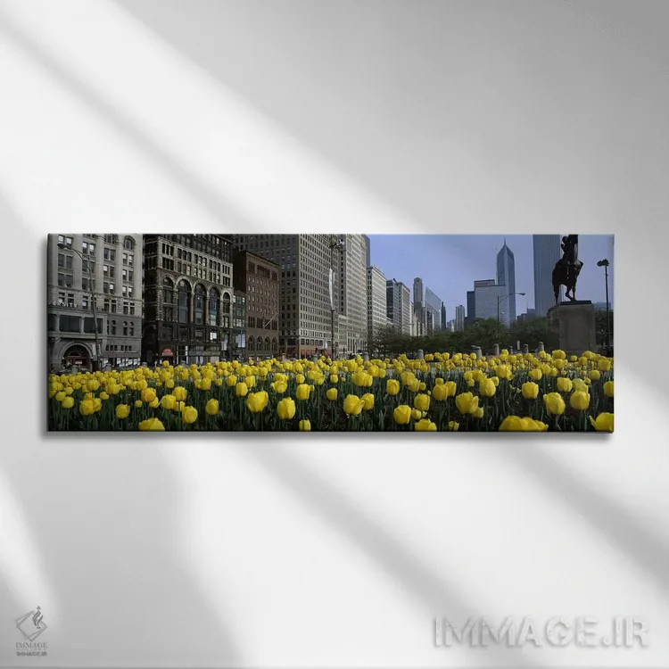 تابلو دکوراتیو Grant Park, South Michigan Avenue, Chicago, Cook County… اثر پانورامیک ایمجز - نمای روبهرو روی دیوار