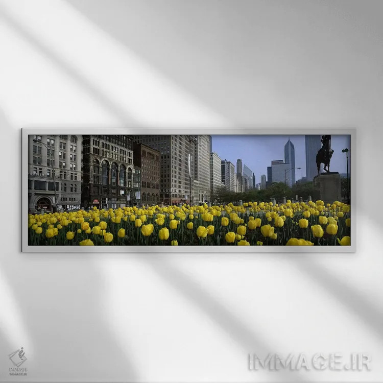 تابلو دکوراتیو Grant Park, South Michigan Avenue, Chicago, Cook County… اثر پانورامیک ایمجز - نمای قابدار سفید