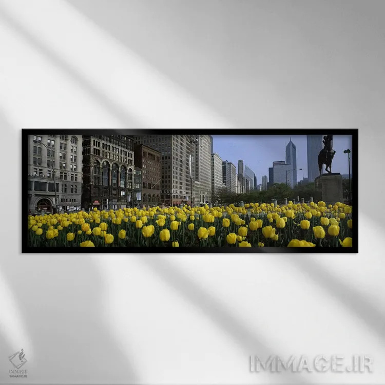 تابلو دکوراتیو Grant Park, South Michigan Avenue, Chicago, Cook County… اثر پانورامیک ایمجز - نمای قابدار مشکی