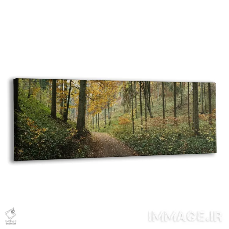 تابلو دکوراتیو Baden-Wurttemberg, Germany,جاده ای میان چشم انداز جنگل… اثر پانورامیک ایمجز - نمای پرسپکتیو محصول