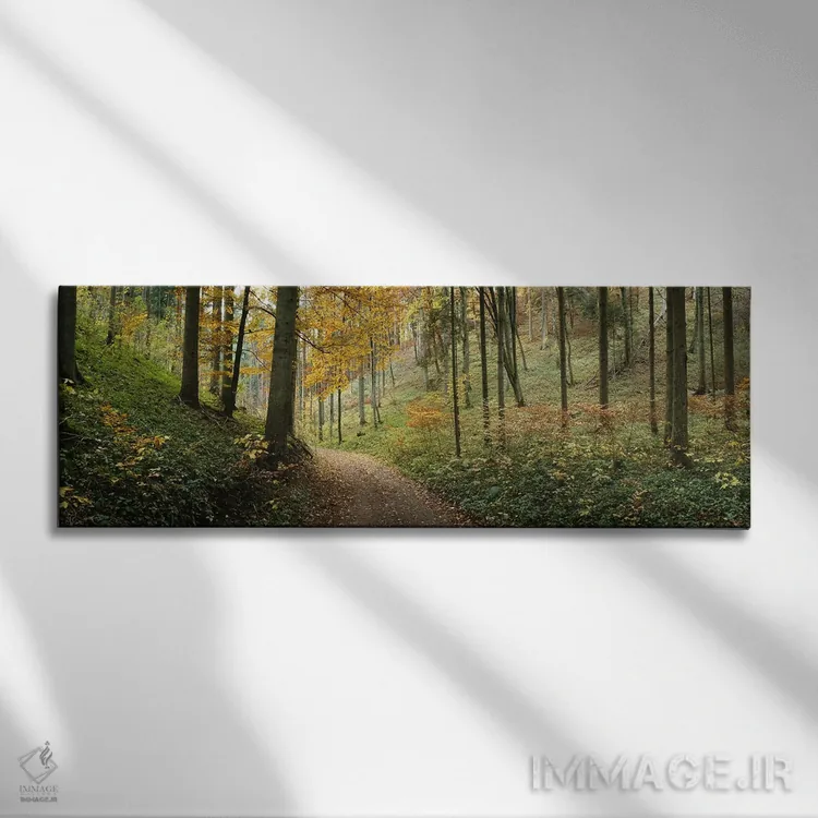 تابلو دکوراتیو Baden-Wurttemberg, Germany,جاده ای میان چشم انداز جنگل… اثر پانورامیک ایمجز - نمای روبهرو روی دیوار