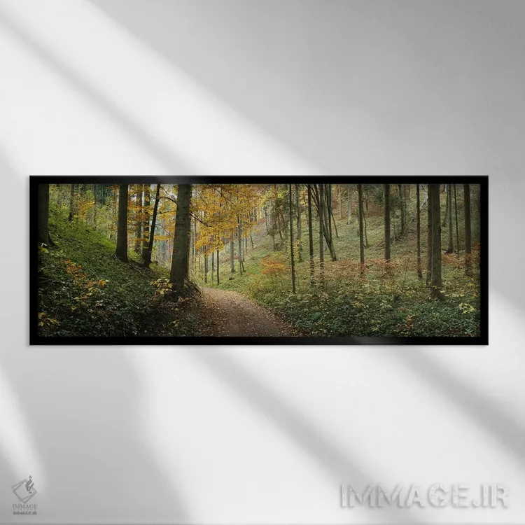 تابلو دکوراتیو Baden-Wurttemberg, Germany,جاده ای میان چشم انداز جنگل… اثر پانورامیک ایمجز - نمای قابدار مشکی