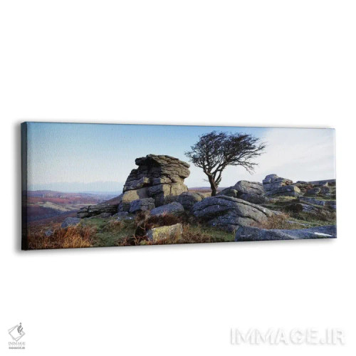 تابلو دکوراتیو Haytor Rocks, Dartmoor, Devon, England,درخت بدون برگ کن… اثر پانورامیک ایمجز - نمای پرسپکتیو محصول