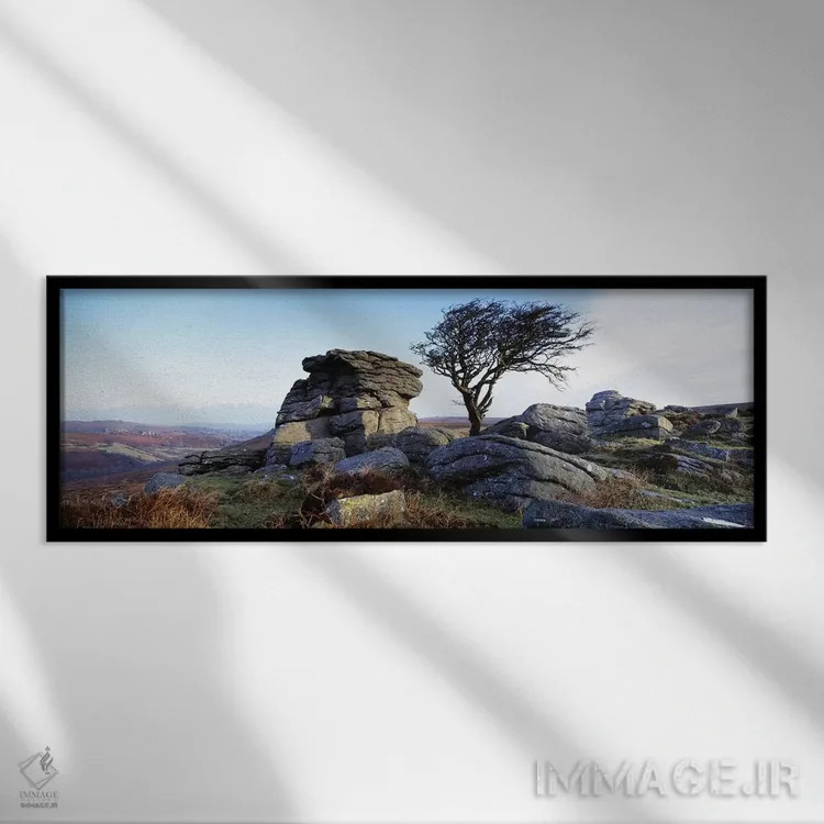تابلو دکوراتیو Haytor Rocks, Dartmoor, Devon, England,درخت بدون برگ کن… اثر پانورامیک ایمجز - نمای قابدار مشکی