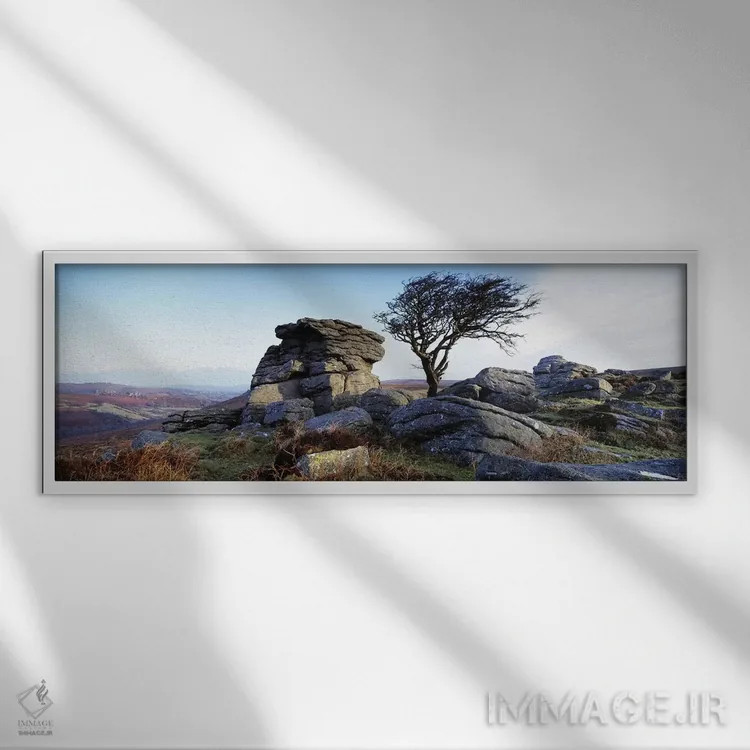 تابلو دکوراتیو Haytor Rocks, Dartmoor, Devon, England,درخت بدون برگ کن… اثر پانورامیک ایمجز - نمای قابدار سفید