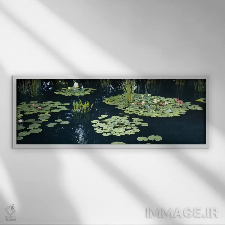 تابلو دکوراتیو Denver Botanic Gardens, Denver, Colorado, USA,نیلوفرهای… اثر پانورامیک ایمجز - نمای قابدار سفید