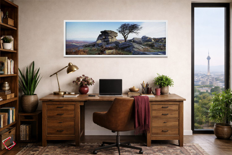تابلو دکوراتیو Haytor Rocks, Dartmoor, Devon, England,درخت بدون برگ کن… اثر پانورامیک ایمجز - D1W