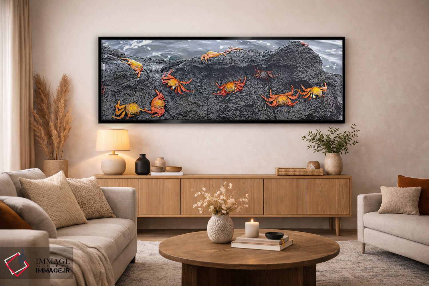 تابلو دکوراتیو Ecuador,نمای بالا از خرچنگ های سالی لایت فوت روی یک صخر… اثر پانورامیک ایمجز - D5B