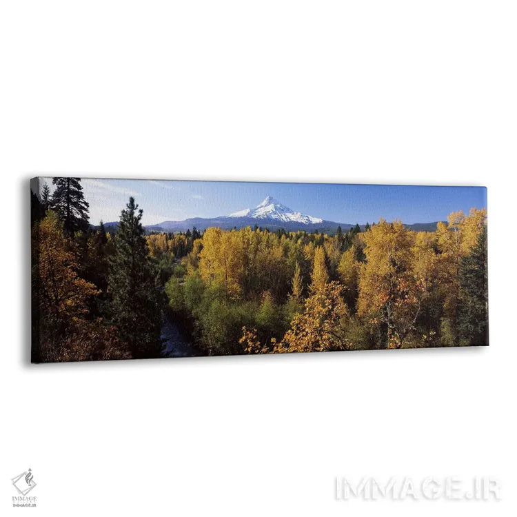 تابلو دکوراتیو Mt Hood, Hood River, Mt. Hood National Forest, Oregon… اثر پانورامیک ایمجز - نمای پرسپکتیو محصول