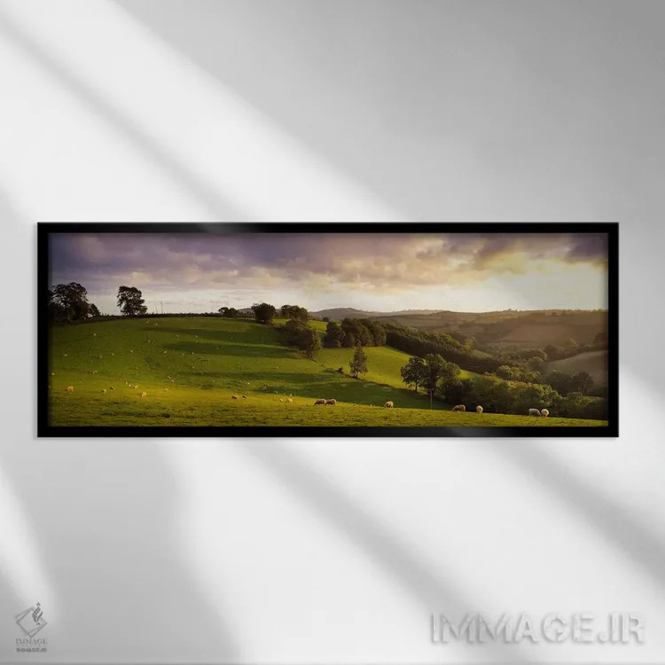 تابلو دکوراتیو Mid Devon, Devon, England,نمای بالا از گوسفندان چراکنند… اثر پانورامیک ایمجز - نمای قابدار مشکی
