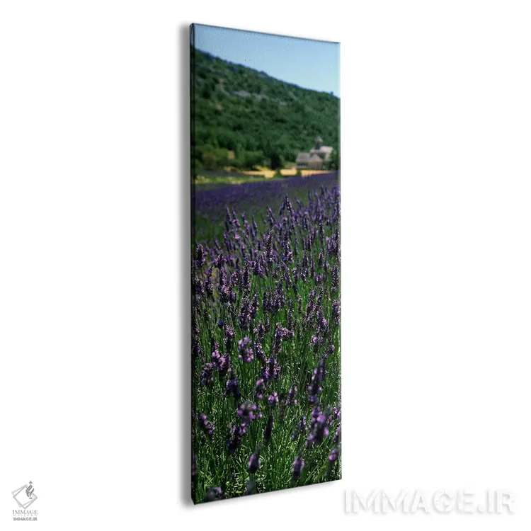 تابلو دکوراتیو Provence-Alpes-Cote d'Azur, France,مزرعه اسطوخودوس با ص… اثر پانورامیک ایمجز - نمای پرسپکتیو محصول