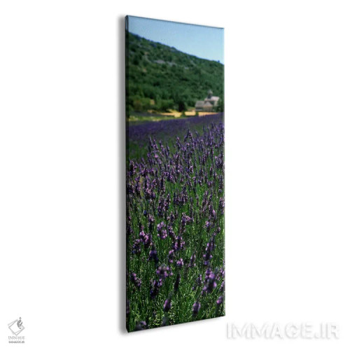 تابلو دکوراتیو Provence-Alpes-Cote d'Azur, France,مزرعه اسطوخودوس با ص… اثر پانورامیک ایمجز - نمای پرسپکتیو محصول