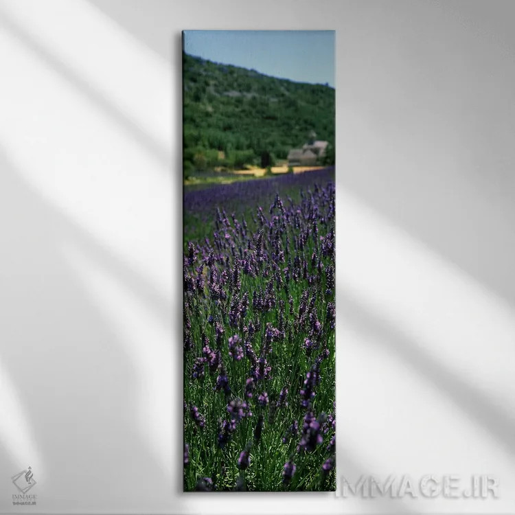 تابلو دکوراتیو Provence-Alpes-Cote d'Azur, France,مزرعه اسطوخودوس با ص… اثر پانورامیک ایمجز - نمای روبهرو روی دیوار