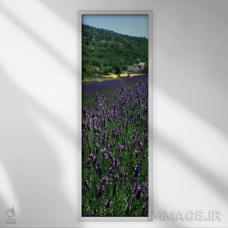 تابلو دکوراتیو Provence-Alpes-Cote d'Azur, France,مزرعه اسطوخودوس با ص… اثر پانورامیک ایمجز - نمای قابدار سفید