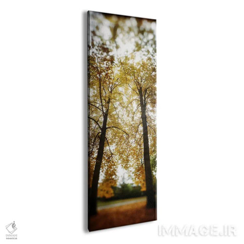 تابلو دکوراتیو Capitol Hill, Seattle, King County, Washington State, U… اثر پانورامیک ایمجز - نمای پرسپکتیو محصول