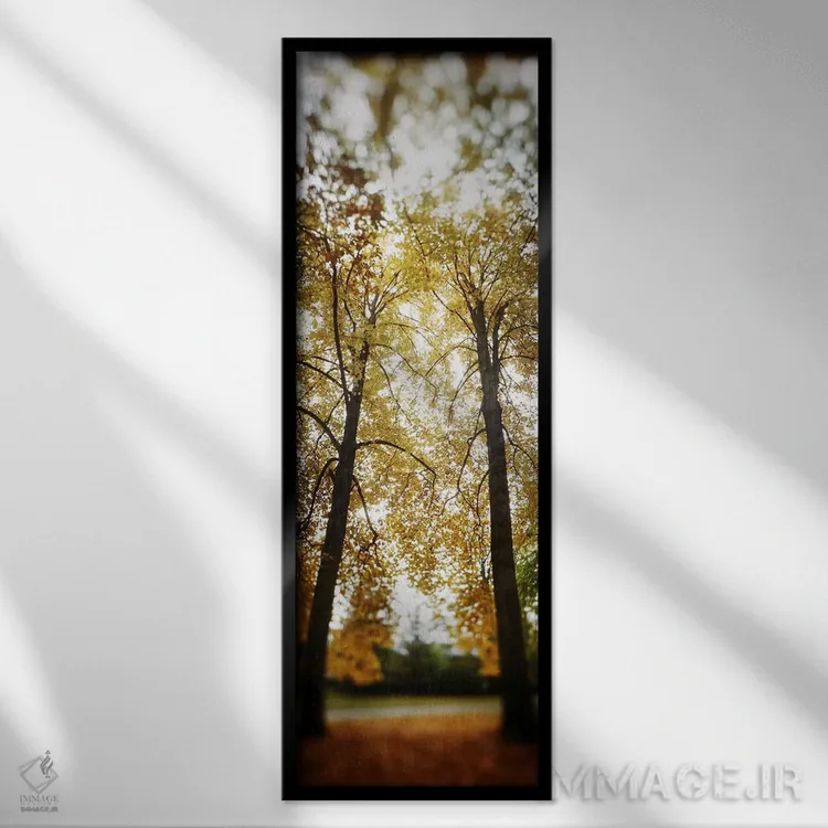 تابلو دکوراتیو Capitol Hill, Seattle, King County, Washington State, U… اثر پانورامیک ایمجز - نمای قابدار مشکی