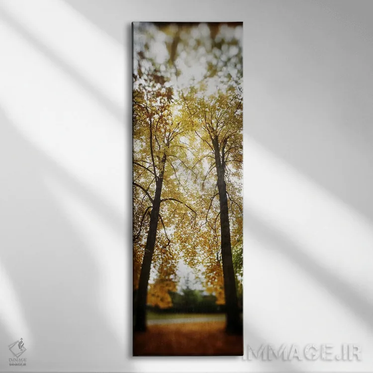 تابلو دکوراتیو Capitol Hill, Seattle, King County, Washington State, U… اثر پانورامیک ایمجز - نمای روبهرو روی دیوار