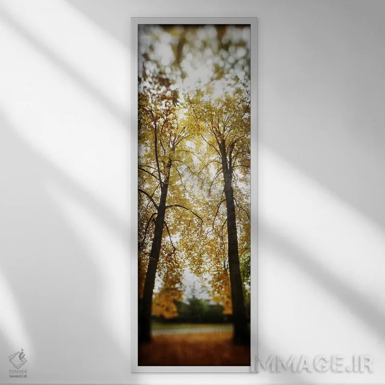 تابلو دکوراتیو Capitol Hill, Seattle, King County, Washington State, U… اثر پانورامیک ایمجز - نمای قابدار سفید