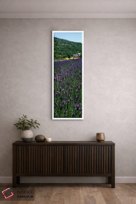 تابلو دکوراتیو Provence-Alpes-Cote d'Azur, France,مزرعه اسطوخودوس با ص… اثر پانورامیک ایمجز - D4W