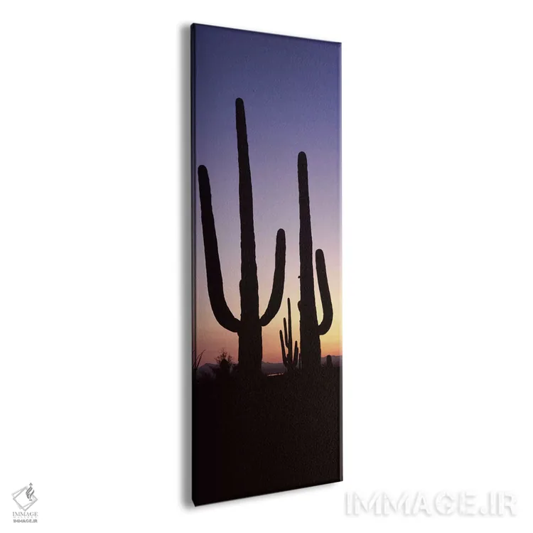 تابلو دکوراتیو Saguaro National Park, Tucson, Pima County, Arizona, US… اثر پانورامیک ایمجز - نمای پرسپکتیو محصول