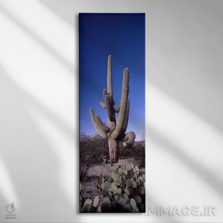 تابلو دکوراتیو Saguaro National Park, Tucson, Arizona, USA #2,نمای روب… اثر پانورامیک ایمجز - نمای روبهرو روی دیوار