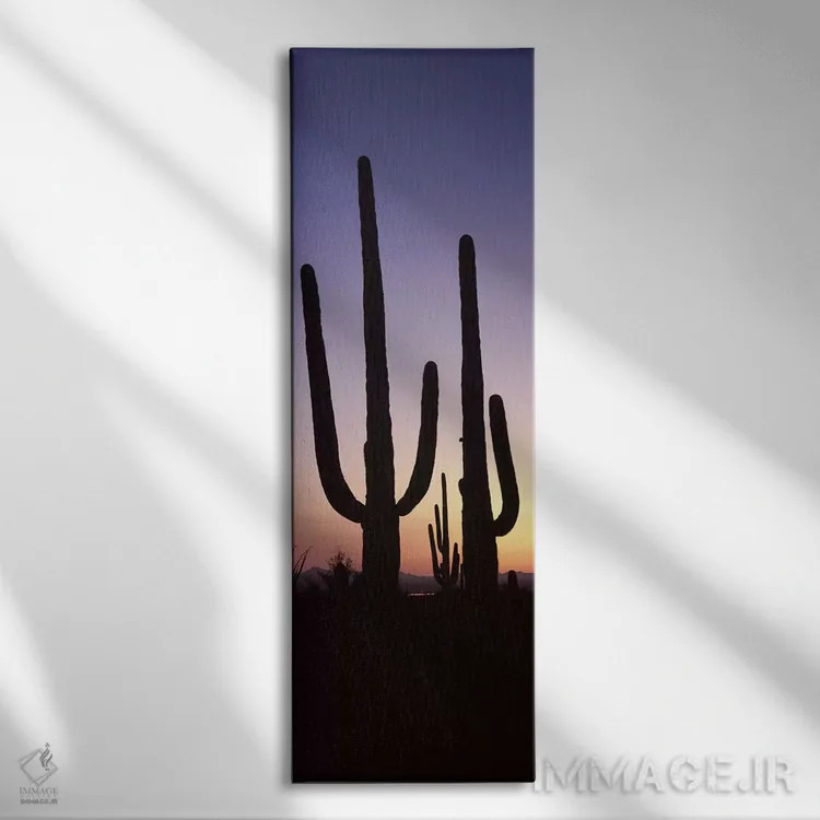 تابلو دکوراتیو Saguaro National Park, Tucson, Pima County, Arizona, US… اثر پانورامیک ایمجز - نمای روبهرو روی دیوار