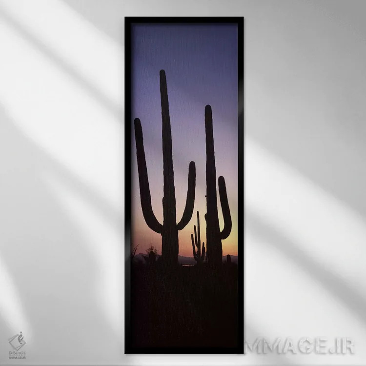 تابلو دکوراتیو Saguaro National Park, Tucson, Pima County, Arizona, US… اثر پانورامیک ایمجز - نمای قابدار مشکی