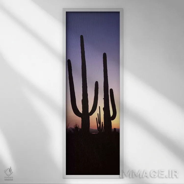تابلو دکوراتیو Saguaro National Park, Tucson, Pima County, Arizona, US… اثر پانورامیک ایمجز - نمای قابدار سفید