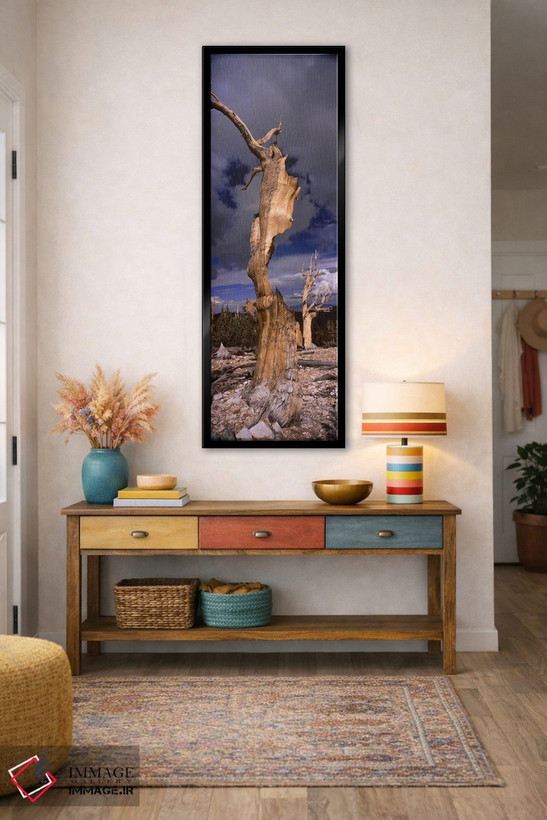 تابلو دکوراتیو White Mountain, California, USA,درختان کاج بریستل کون در مناظر طبیعی، کوه… - D2B