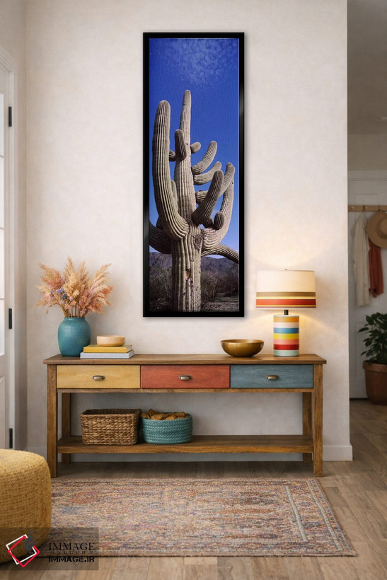 تابلو دکوراتیو Saguaro National Park, Tucson, Arizona, USA,نمای روبه پ… اثر پانورامیک ایمجز - D1B